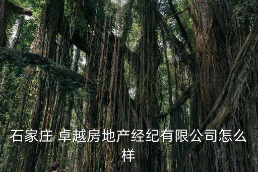 石家莊 卓越房地產(chǎn)經(jīng)紀有限公司怎么樣