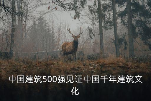 中國建筑500強見證中國千年建筑文化