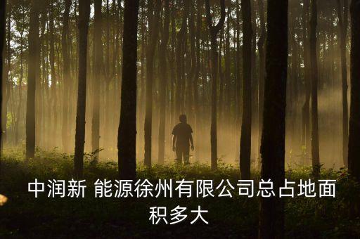 中潤國際能源集團,山西國際能源集團待遇怎么樣