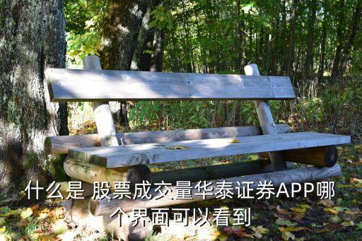 什么是 股票成交量華泰證券APP哪個界面可以看到