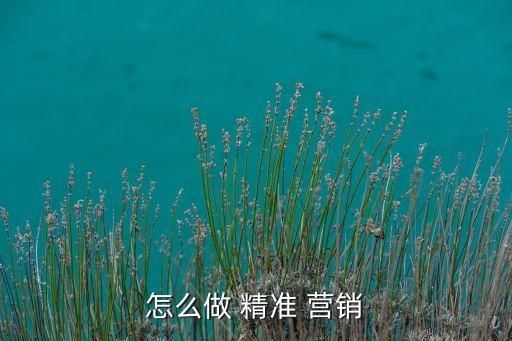 怎么做 精準 營銷
