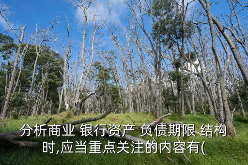 分析商業(yè) 銀行資產(chǎn) 負(fù)債期限 結(jié)構(gòu)時,應(yīng)當(dāng)重點關(guān)注的內(nèi)容有(