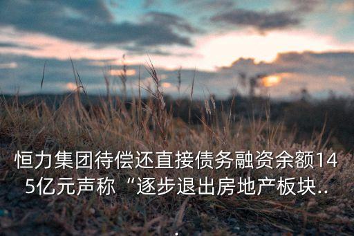 恒力集團待償還直接債務(wù)融資余額145億元聲稱“逐步退出房地產(chǎn)板塊...