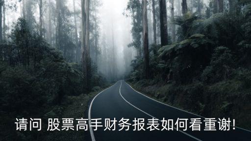 請(qǐng)問(wèn) 股票高手財(cái)務(wù)報(bào)表如何看重謝!