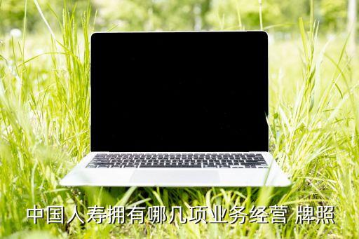 保險公司牌照
