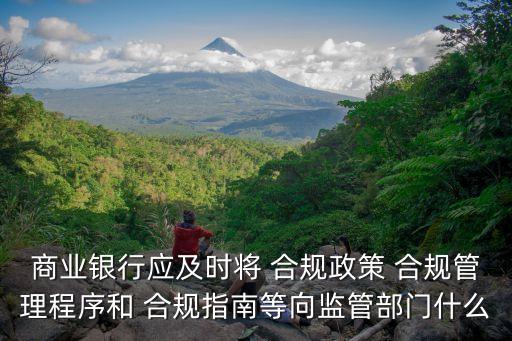 商業(yè)銀行應(yīng)及時(shí)將 合規(guī)政策 合規(guī)管理程序和 合規(guī)指南等向監(jiān)管部門什么