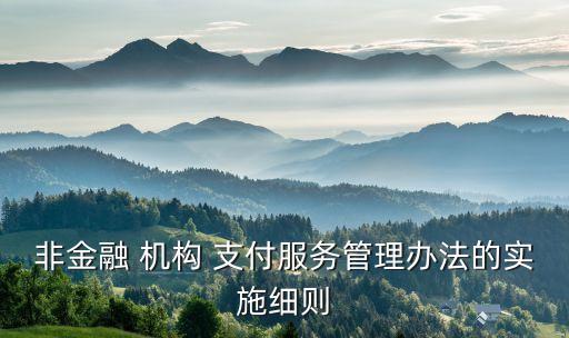 非金融 機構(gòu) 支付服務管理辦法的實施細則