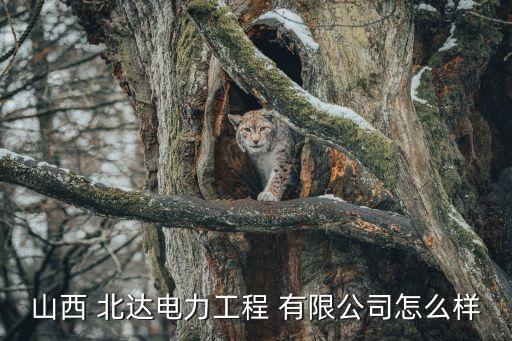 山西 北達電力工程 有限公司怎么樣