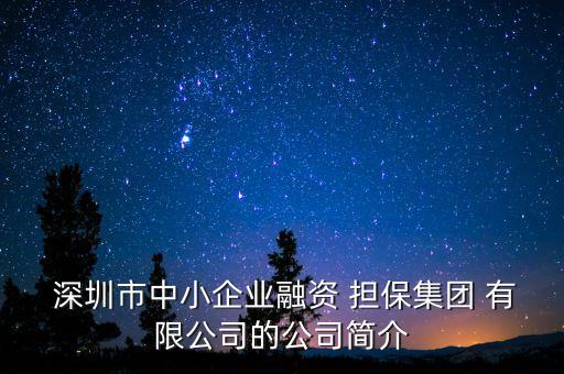  深圳市中小企業(yè)融資 擔保集團 有限公司的公司簡介