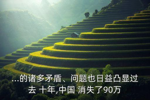 ...的諸多矛盾、問題也日益凸顯過去 十年,中國 消失了90萬