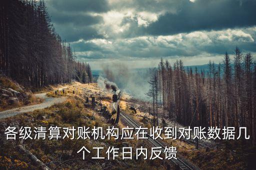 各級清算對賬機構(gòu)應(yīng)在收到對賬數(shù)據(jù)幾個工作日內(nèi)反饋