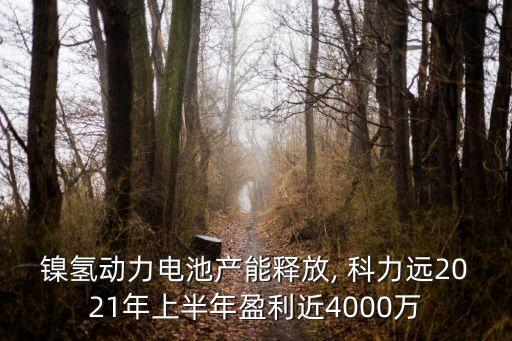 鎳氫動(dòng)力電池產(chǎn)能釋放, 科力遠(yuǎn)2021年上半年盈利近4000萬(wàn)