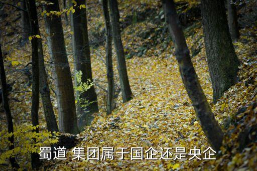四川省鐵路集團有限責(zé)任公司
