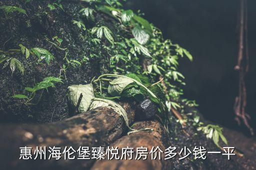 惠州海倫堡臻悅府房?jī)r(jià)多少錢一平