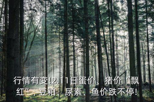 行情有變!2.11日蛋價、豬價“飄紅”, 豆粕、尿素、魚價跌不停!