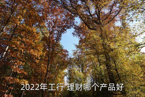 2022年工行 理財哪個產(chǎn)品好