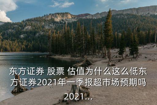 東方證券 股票 估值為什么這么低東方證券2021年一季報(bào)超市場(chǎng)預(yù)期嗎2021...