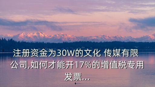注冊(cè)資金為30W的文化 傳媒有限 公司,如何才能開(kāi)17%的增值稅專(zhuān)用發(fā)票...