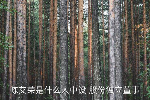 陳艾榮是什么人中設 股份獨立董事