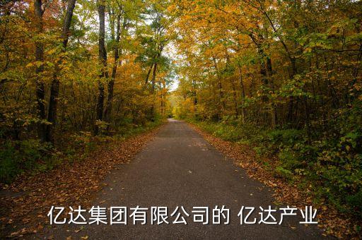 億達中國,丁衛(wèi)政億達中國