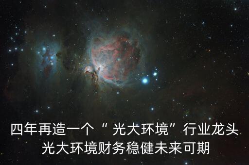 中國(guó)光大集團(tuán)戰(zhàn)略規(guī)劃部吳