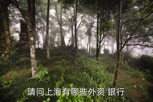 請(qǐng)問(wèn)上海有哪些外資 銀行