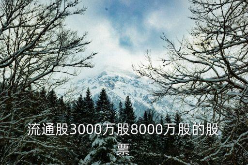 流通股3000萬(wàn)股8000萬(wàn)股的股票