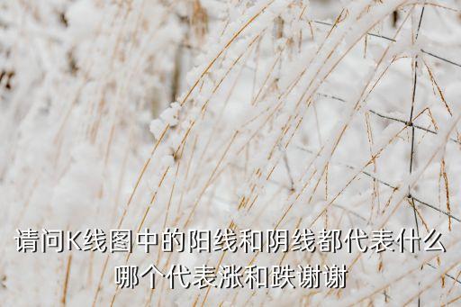 請(qǐng)問K線圖中的陽線和陰線都代表什么哪個(gè)代表漲和跌謝謝