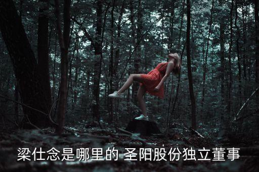 梁仕念是哪里的 圣陽(yáng)股份獨(dú)立董事