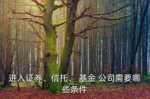 進(jìn)入證券、信托、 基金 公司需要哪些條件