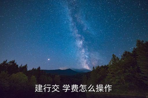 手機(jī)建設(shè)銀行繳學(xué)費(fèi),建設(shè)銀行怎么查學(xué)費(fèi)明細(xì)