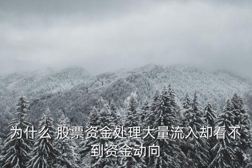 為什么 股票資金處理大量流入?yún)s看不到資金動(dòng)向