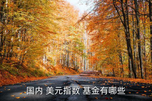 國(guó)內(nèi) 美元指數(shù) 基金有哪些