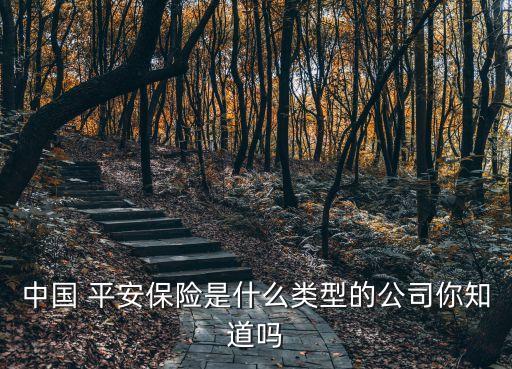 中國 平安保險是什么類型的公司你知道嗎