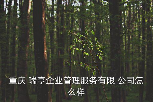 重慶 瑞亨企業(yè)管理服務(wù)有限 公司怎么樣