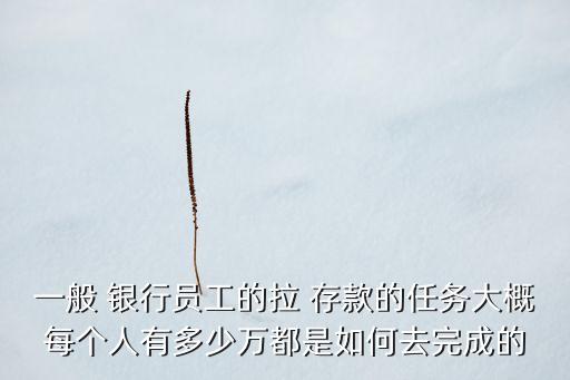 一般 銀行員工的拉 存款的任務(wù)大概每個(gè)人有多少萬都是如何去完成的