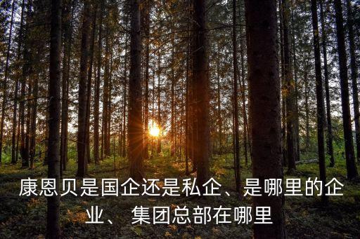 康恩貝集團的保健品產(chǎn)業(yè)
