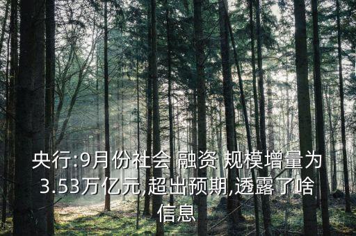 央行:9月份社會(huì) 融資 規(guī)模增量為3.53萬(wàn)億元,超出預(yù)期,透露了啥信息