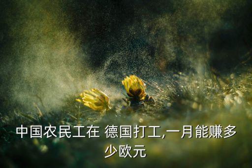 德國(guó)賺了中國(guó)多少錢,買日本2比1德國(guó)能賺多少錢