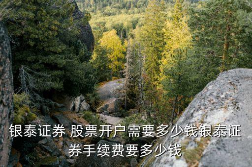 銀泰證券 股票開戶需要多少錢銀泰證券手續(xù)費(fèi)要多少錢