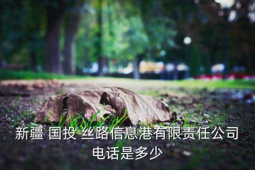 國投絲路股票,博時絲路主題股票A