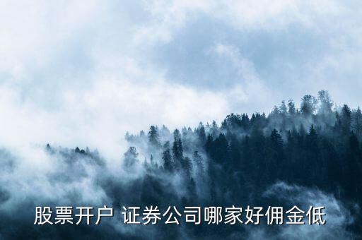 上海五礦證券