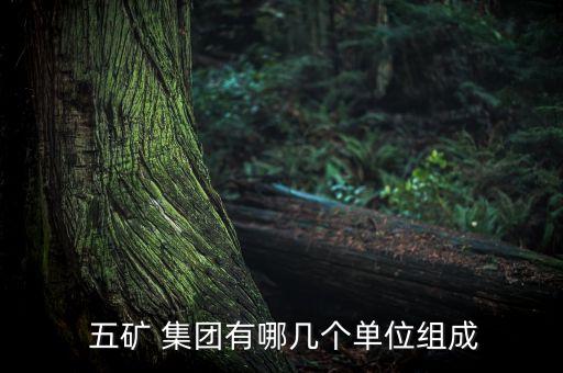  五礦 集團(tuán)有哪幾個單位組成