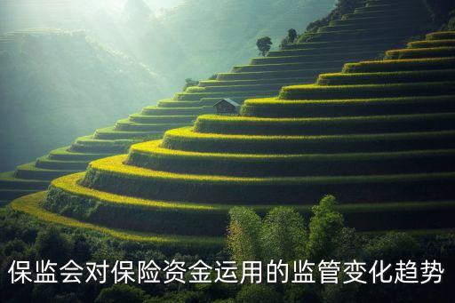 保監(jiān)會(huì)對(duì)保險(xiǎn)資金運(yùn)用的監(jiān)管變化趨勢(shì)