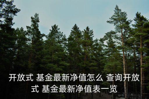 基金查詢(xún)網(wǎng)519110