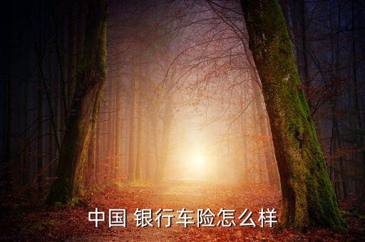 中國 銀行車險(xiǎn)怎么樣