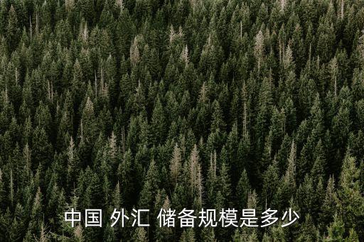 中國(guó) 外匯 儲(chǔ)備規(guī)模是多少
