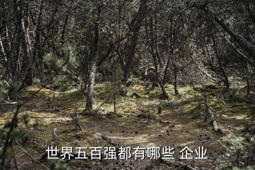 中國高科技企業(yè)500強(qiáng),世界500強(qiáng)高科技公司