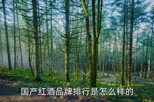 國(guó)產(chǎn)紅酒品牌排行是怎么樣的