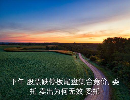 下午 股票跌停板尾盤集合競價, 委托 賣出為何無效 委托